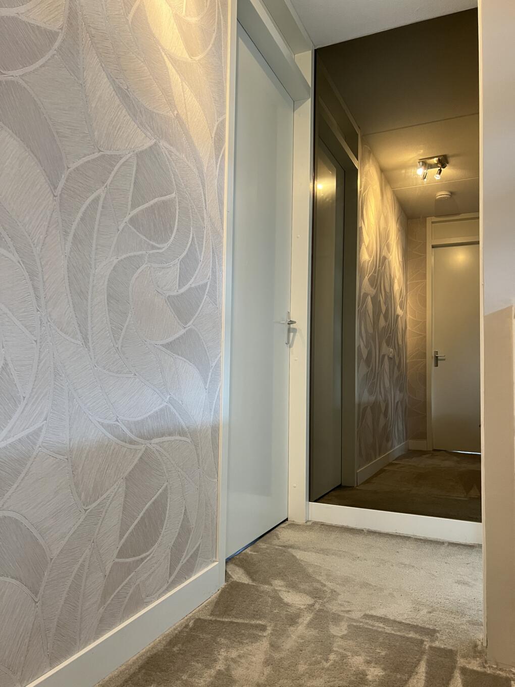 Wandspiegel brons gekleurd